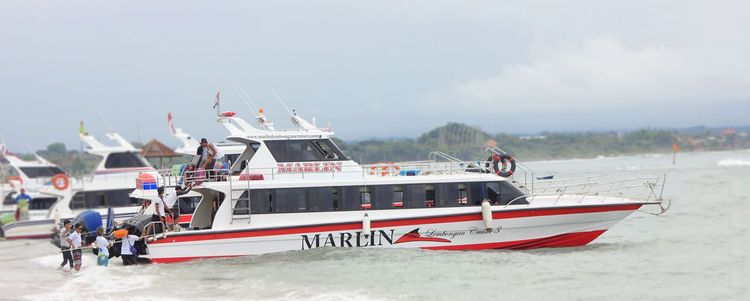 marlin-lembongan-cruiser-05.jpg